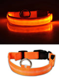 #*NOVIDADE*# 
Coleira de nylon com LED para cães, coleira fluorescente luminosa, suprimentos para animais de estimação, segurança noturna, coleira piscante que brilha no escuro