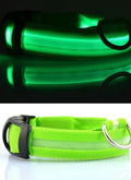 #*NOVIDADE*# 
Coleira de nylon com LED para cães, coleira fluorescente luminosa, suprimentos para animais de estimação, segurança noturna, coleira piscante que brilha no escuro