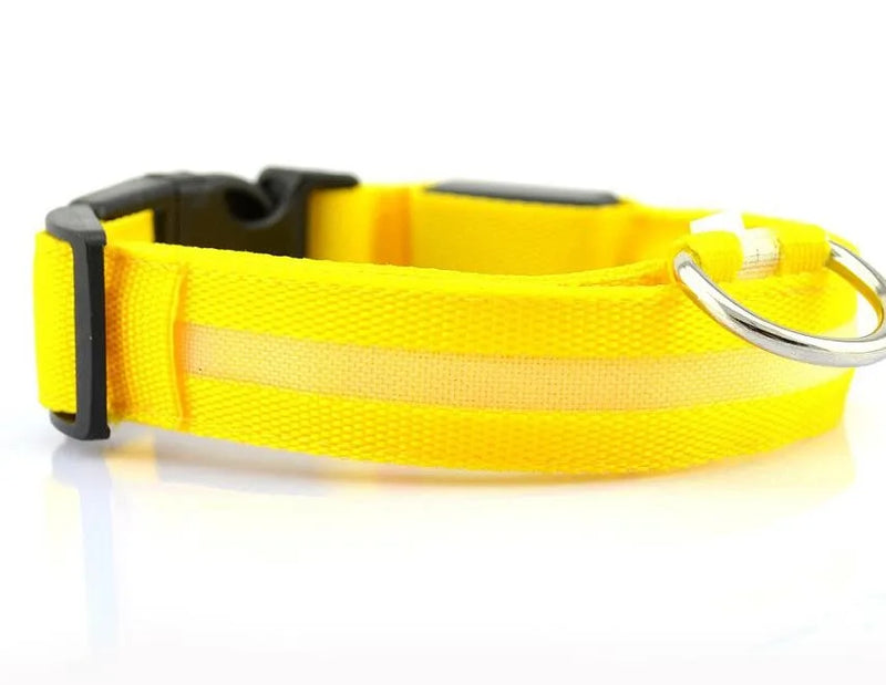 #*NOVIDADE*# 
Coleira de nylon com LED para cães, coleira fluorescente luminosa, suprimentos para animais de estimação, segurança noturna, coleira piscante que brilha no escuro