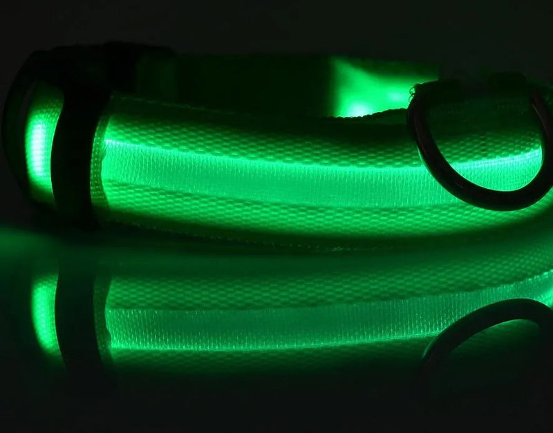 #*NOVIDADE*# 
Coleira de nylon com LED para cães, coleira fluorescente luminosa, suprimentos para animais de estimação, segurança noturna, coleira piscante que brilha no escuro