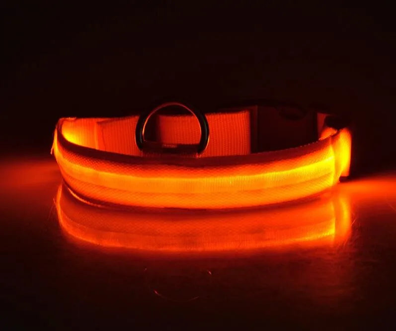 #*NOVIDADE*# 
Coleira de nylon com LED para cães, coleira fluorescente luminosa, suprimentos para animais de estimação, segurança noturna, coleira piscante que brilha no escuro