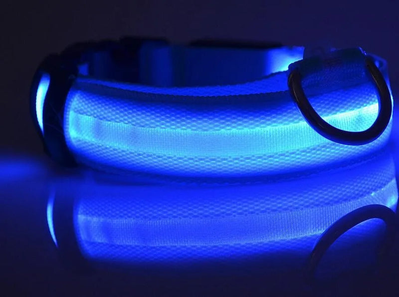 #*NOVIDADE*# 
Coleira de nylon com LED para cães, coleira fluorescente luminosa, suprimentos para animais de estimação, segurança noturna, coleira piscante que brilha no escuro