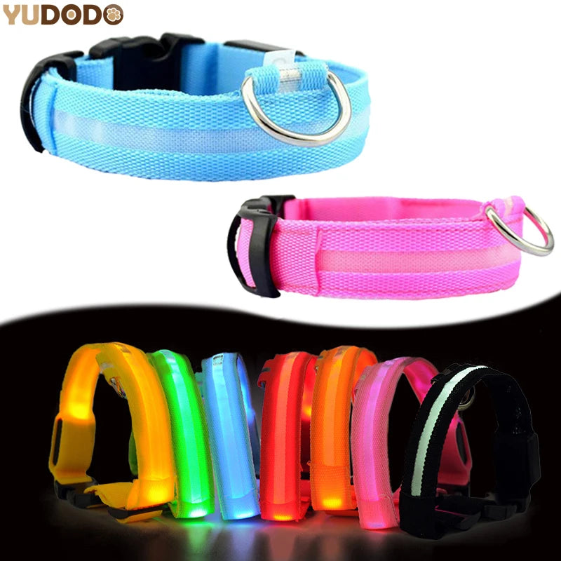 #*NOVIDADE*# 
Coleira de nylon com LED para cães, coleira fluorescente luminosa, suprimentos para animais de estimação, segurança noturna, coleira piscante que brilha no escuro