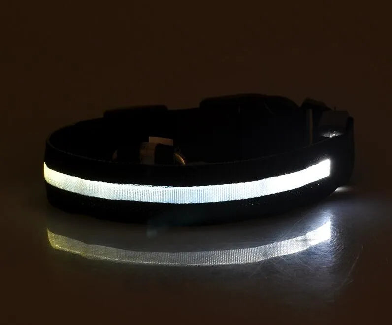 #*NOVIDADE*# 
Coleira de nylon com LED para cães, coleira fluorescente luminosa, suprimentos para animais de estimação, segurança noturna, coleira piscante que brilha no escuro