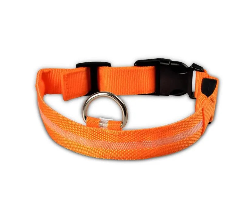 #*NOVIDADE*# 
Coleira de nylon com LED para cães, coleira fluorescente luminosa, suprimentos para animais de estimação, segurança noturna, coleira piscante que brilha no escuro