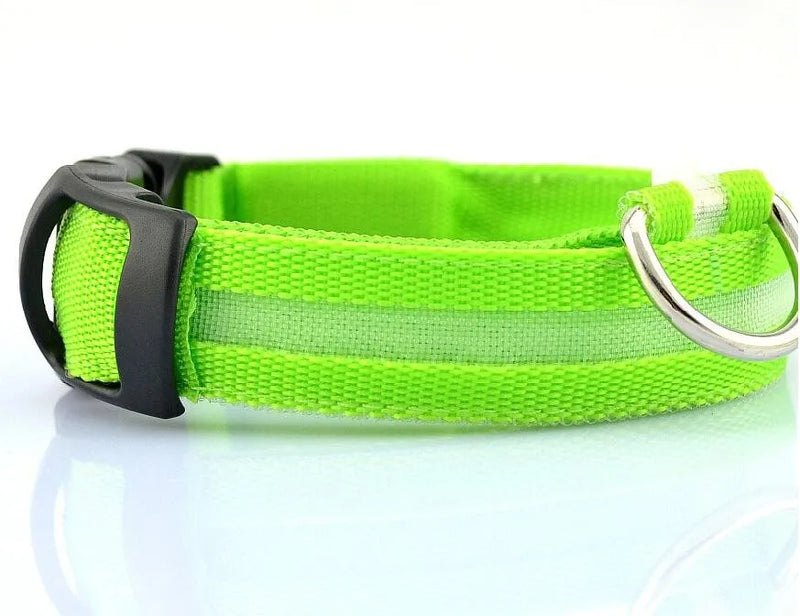 #*NOVIDADE*# 
Coleira de nylon com LED para cães, coleira fluorescente luminosa, suprimentos para animais de estimação, segurança noturna, coleira piscante que brilha no escuro
