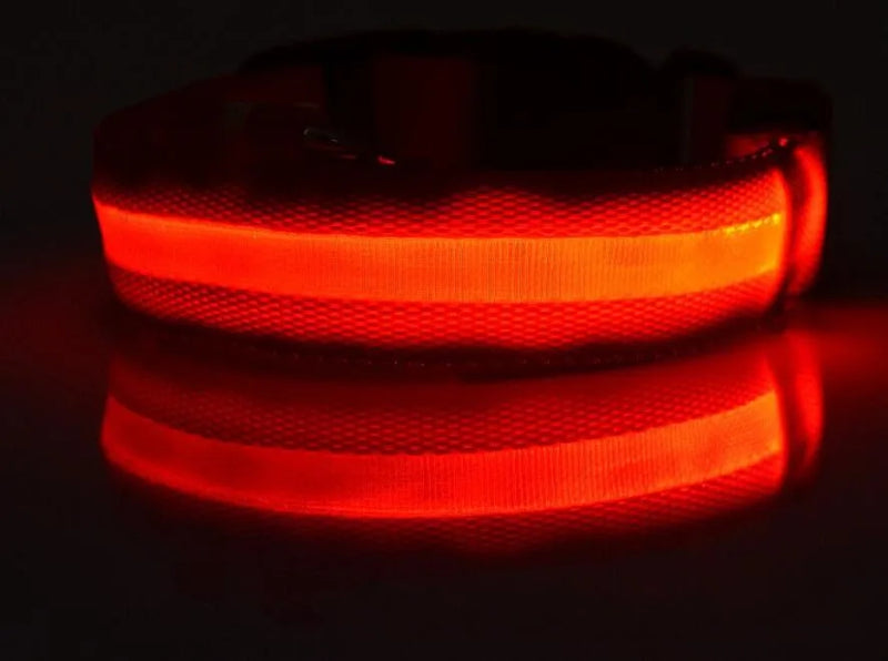#*NOVIDADE*# 
Coleira de nylon com LED para cães, coleira fluorescente luminosa, suprimentos para animais de estimação, segurança noturna, coleira piscante que brilha no escuro