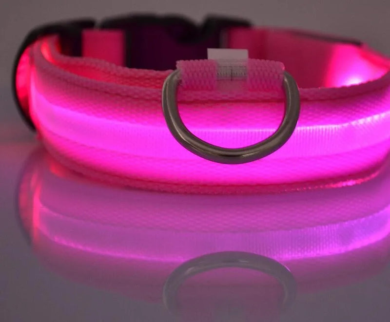 #*NOVIDADE*# 
Coleira de nylon com LED para cães, coleira fluorescente luminosa, suprimentos para animais de estimação, segurança noturna, coleira piscante que brilha no escuro