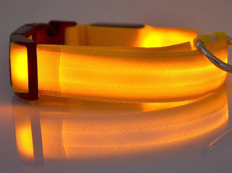 #*NOVIDADE*# 
Coleira de nylon com LED para cães, coleira fluorescente luminosa, suprimentos para animais de estimação, segurança noturna, coleira piscante que brilha no escuro