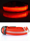 #*NOVIDADE*# 
Coleira de nylon com LED para cães, coleira fluorescente luminosa, suprimentos para animais de estimação, segurança noturna, coleira piscante que brilha no escuro