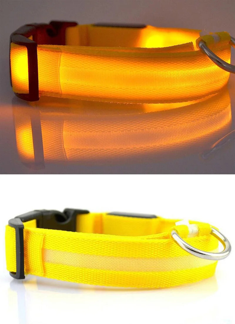 #*NOVIDADE*# 
Coleira de nylon com LED para cães, coleira fluorescente luminosa, suprimentos para animais de estimação, segurança noturna, coleira piscante que brilha no escuro